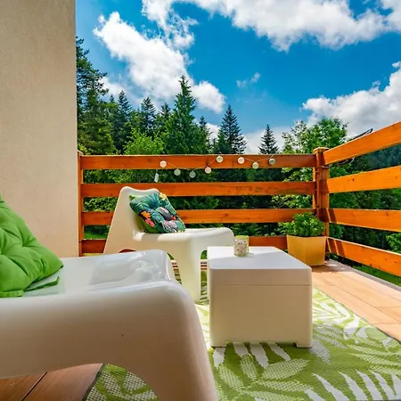 Montis * Krynica-Zdrój