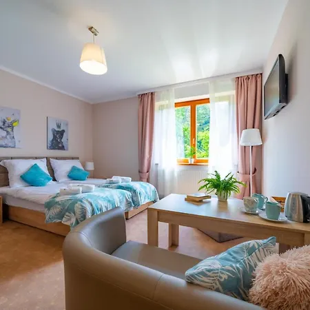 Montis * Krynica-Zdrój