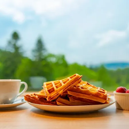 Montis Villa Krynica-Zdrój