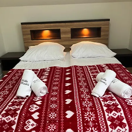 Montis Villa Krynica-Zdrój